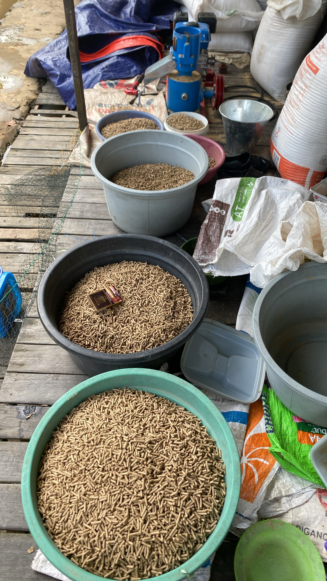 Pelet Ikan Probiotik